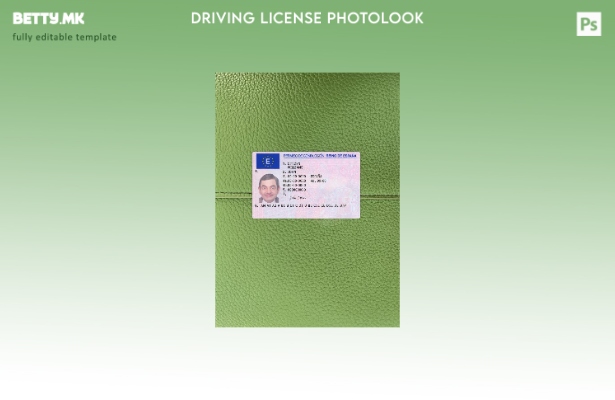 Модерен стил, верзија на шпанската возачка дозвола, преден шаблон photolook